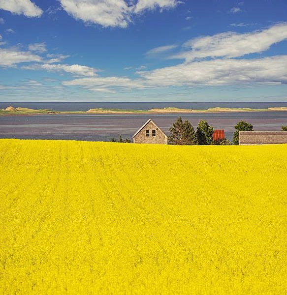 Saskatchewan