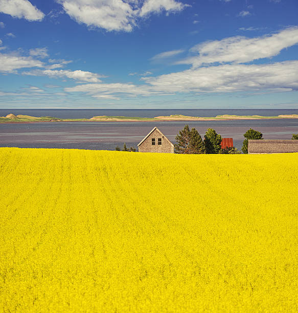 Saskatchewan: Provincial Business Visa Programs