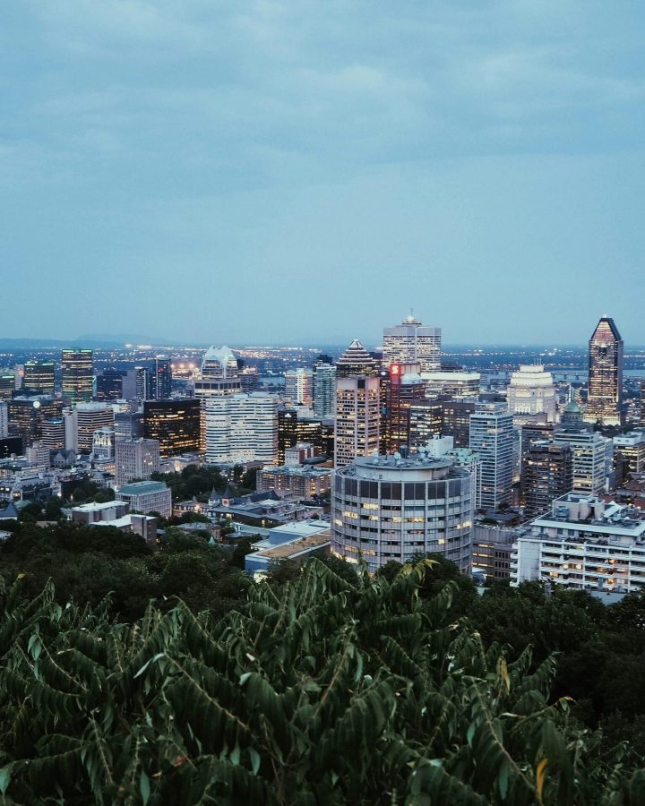 A Canadian city skyline seen from a park